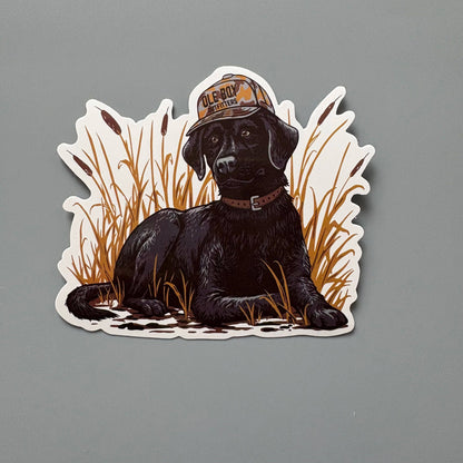 OLE BOY Outdoor Sticker Pack